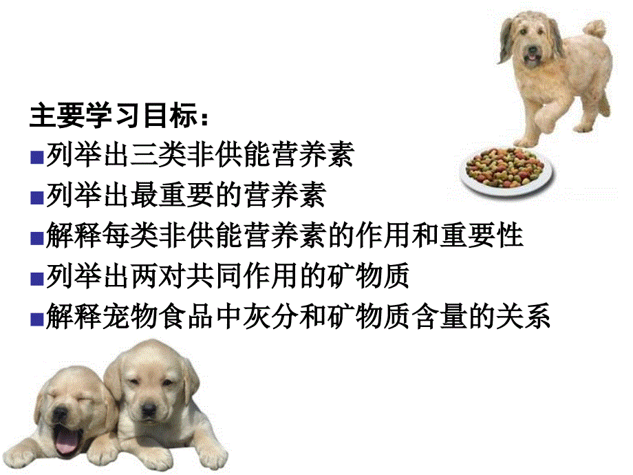 宠物基础营养学-非供能营养素_图文_第2页