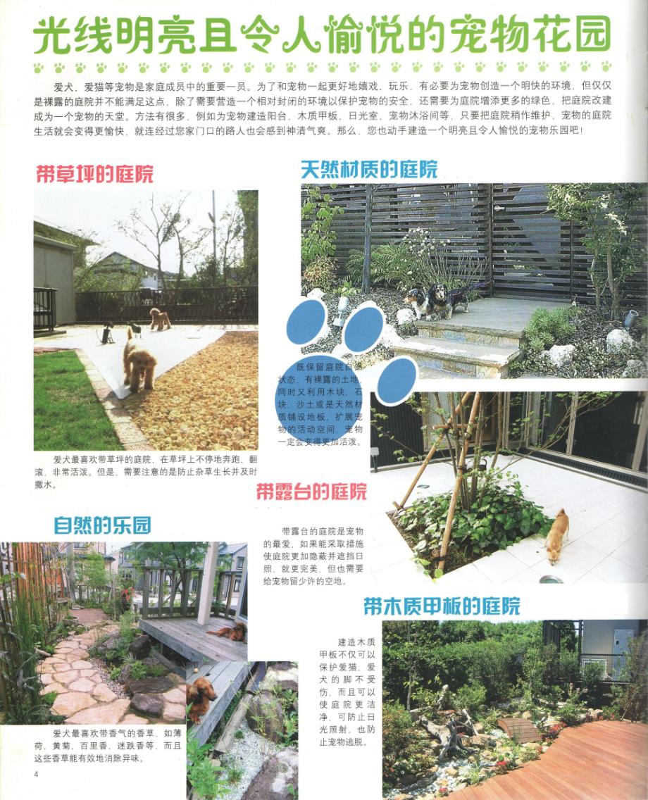 庭院设计——宠物乐园型花园1_第2页