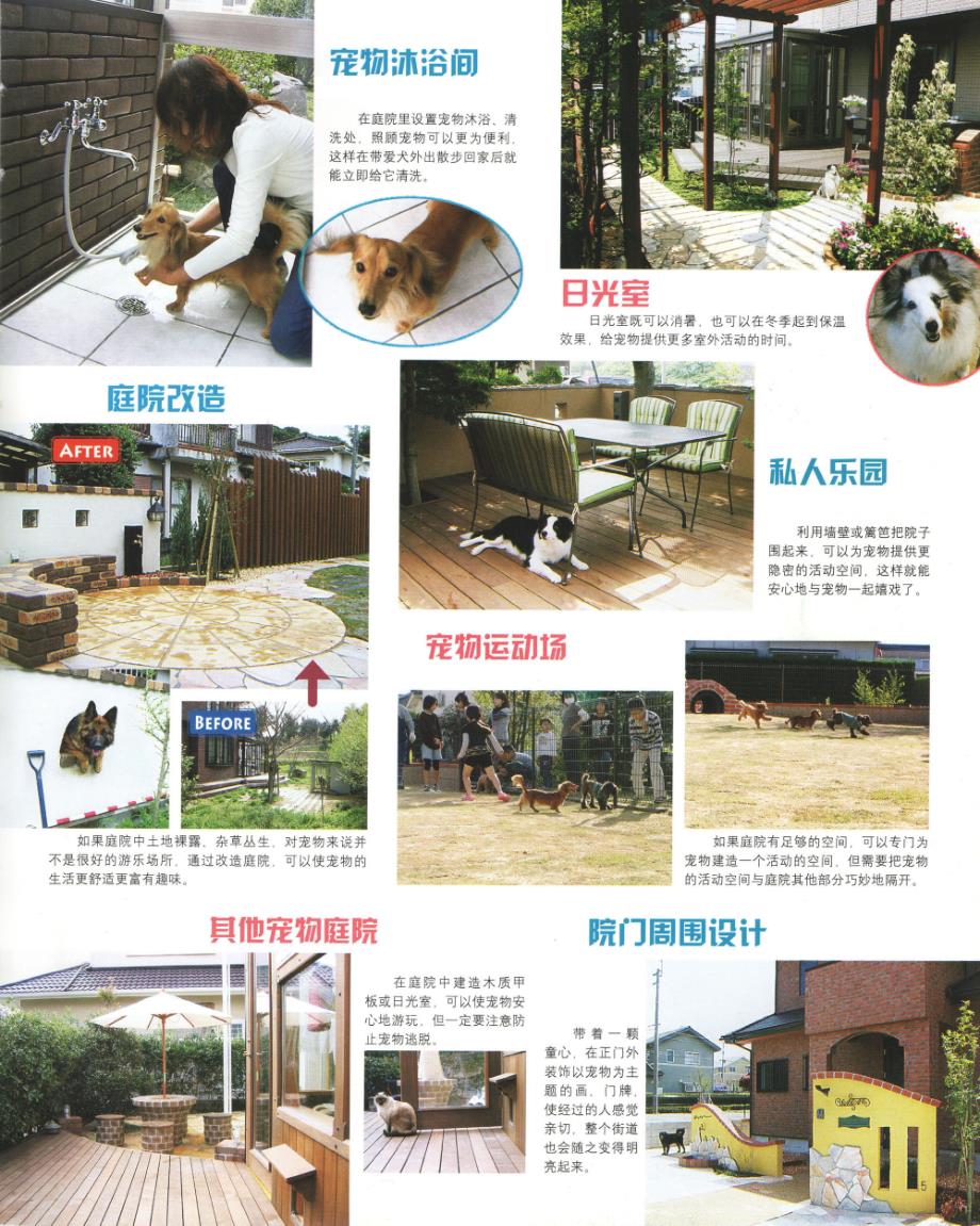 庭院设计——宠物乐园型花园1_第3页