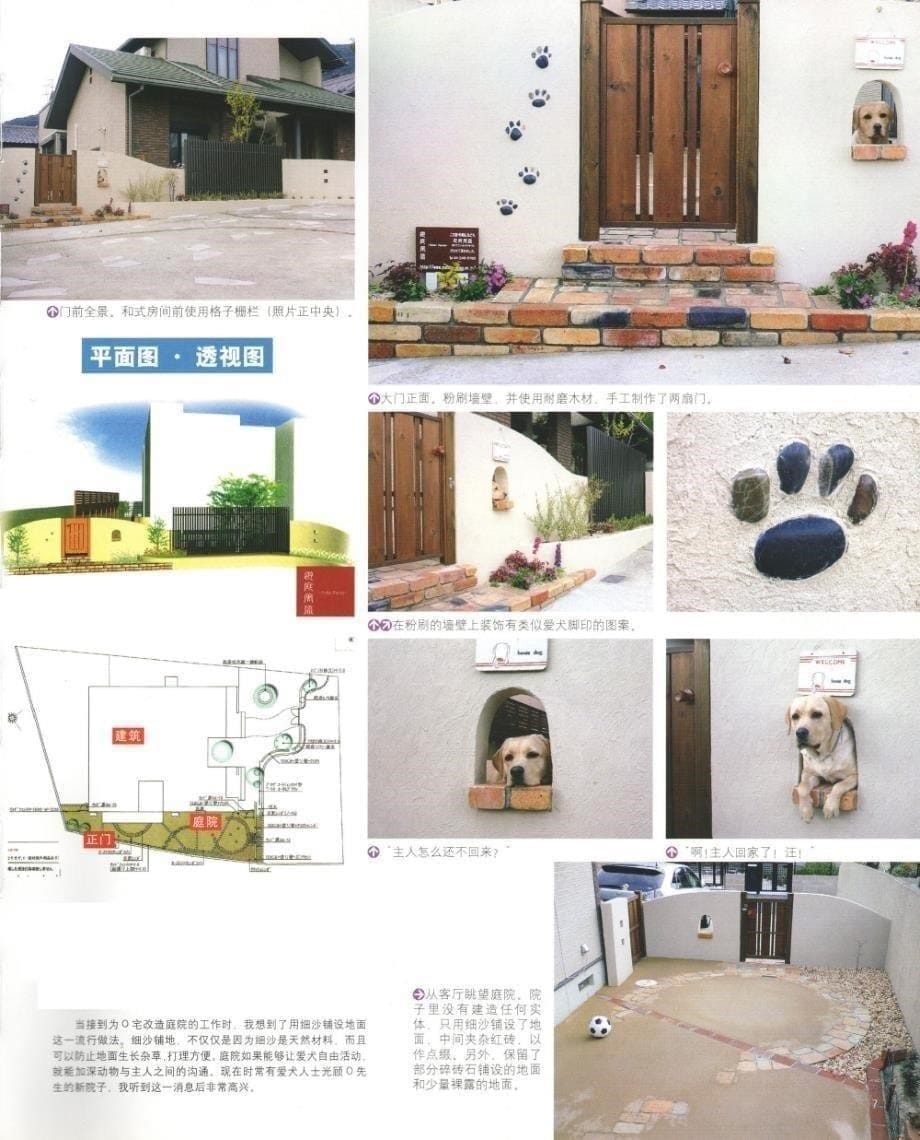 庭院设计——宠物乐园型花园1_第5页