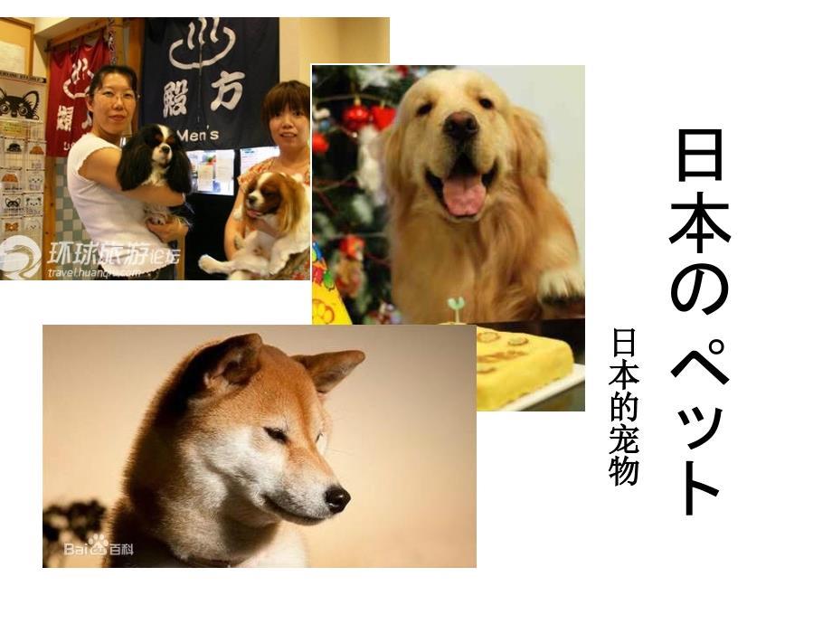 关于日本的宠物_图文
