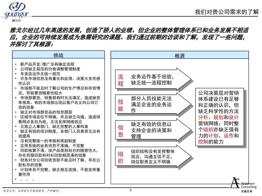 雅戈尔服饰有限公司营销网络建设项目建议书_第5页