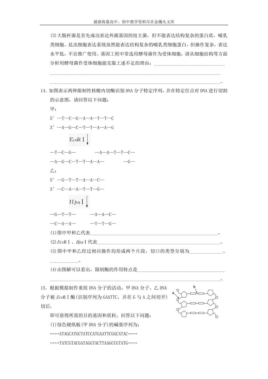 （人教版）生物选修三 1.1《DNA重组技术的基本工具》教学案（含答案）_第5页