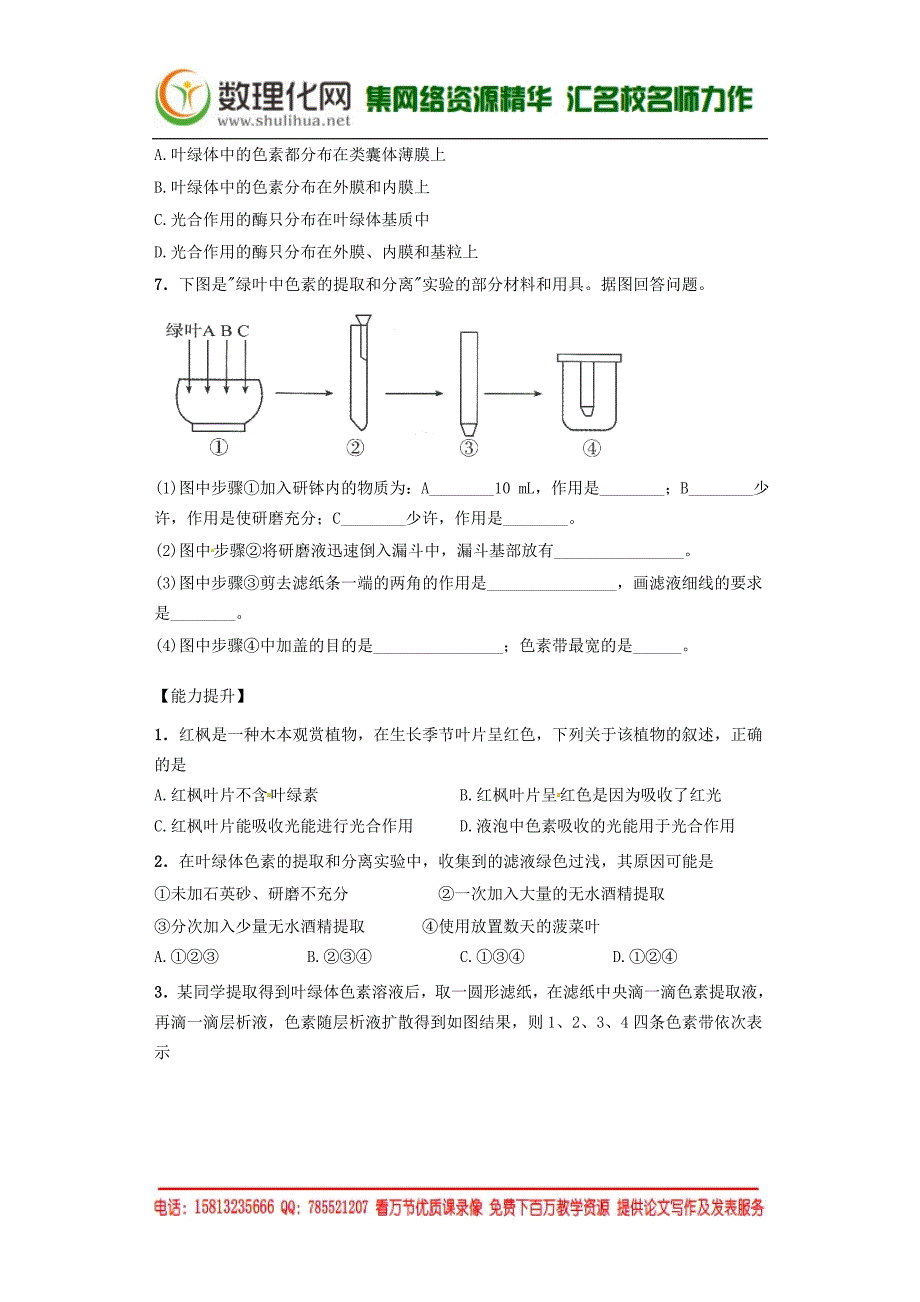 （人教版）高中生物必修一 《捕获光能的色素和结构》课后练习（含答案）_第2页