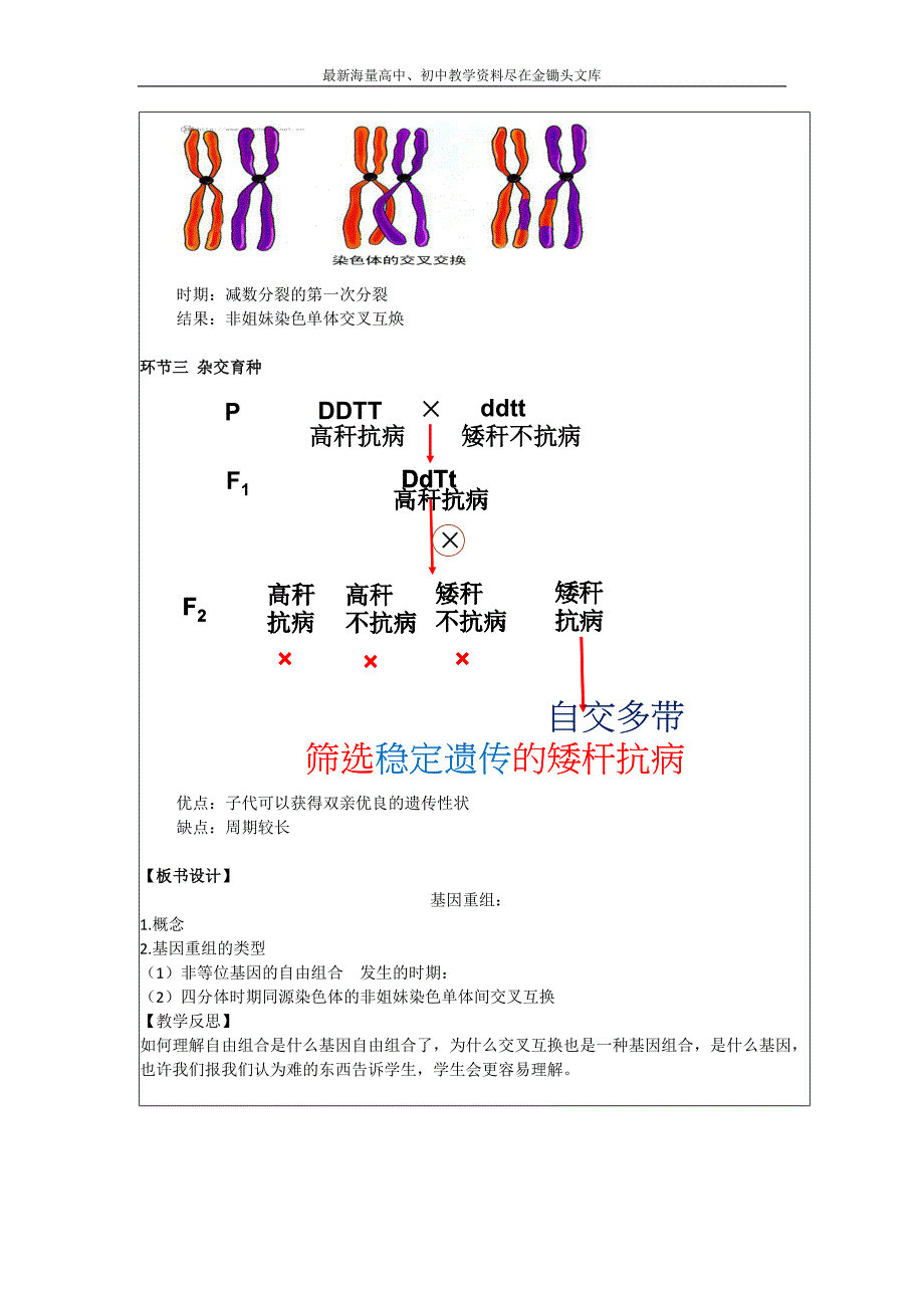 北京延庆三中高三生物一轮复习教案 课题21 基因重组_第2页