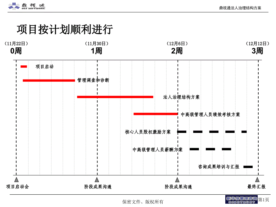 鼎视通法人治理结构方案_第2页