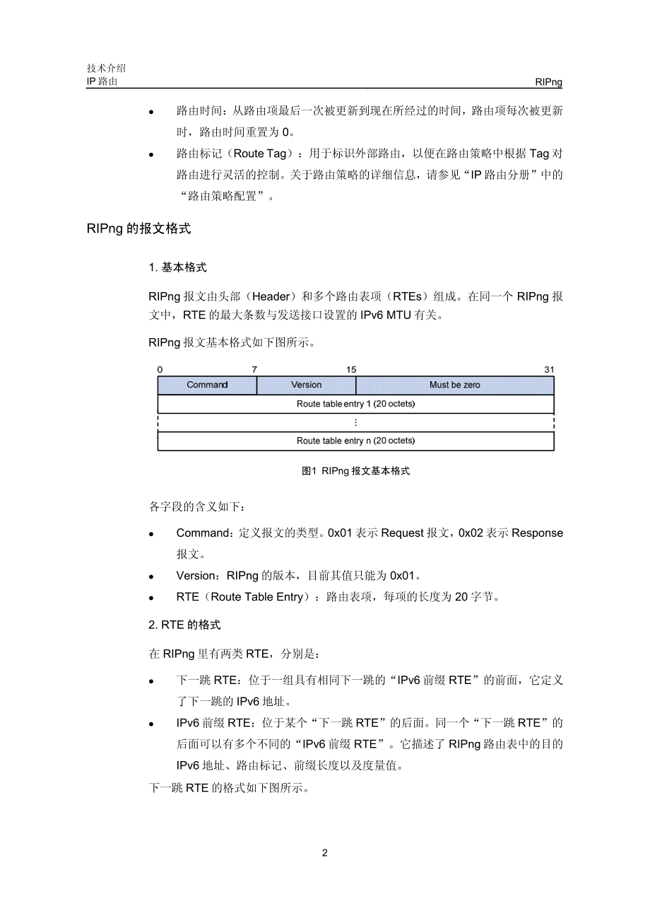 H3C技术白皮书_RIPng技术介绍_第3页