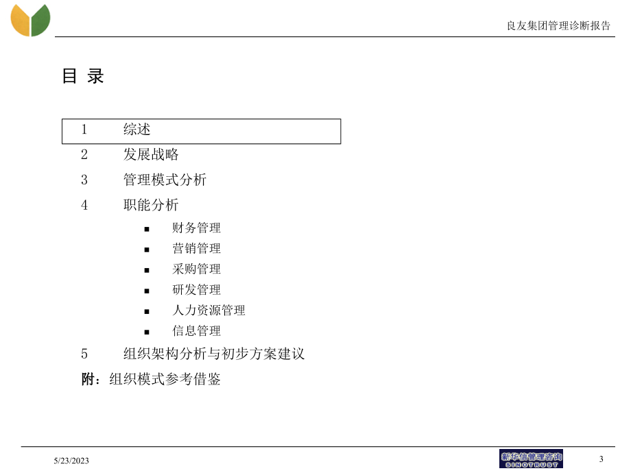 良友集团－诊断报告_第3页