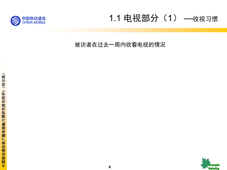 哈尔滨移动产品传播媒体研究_第2页