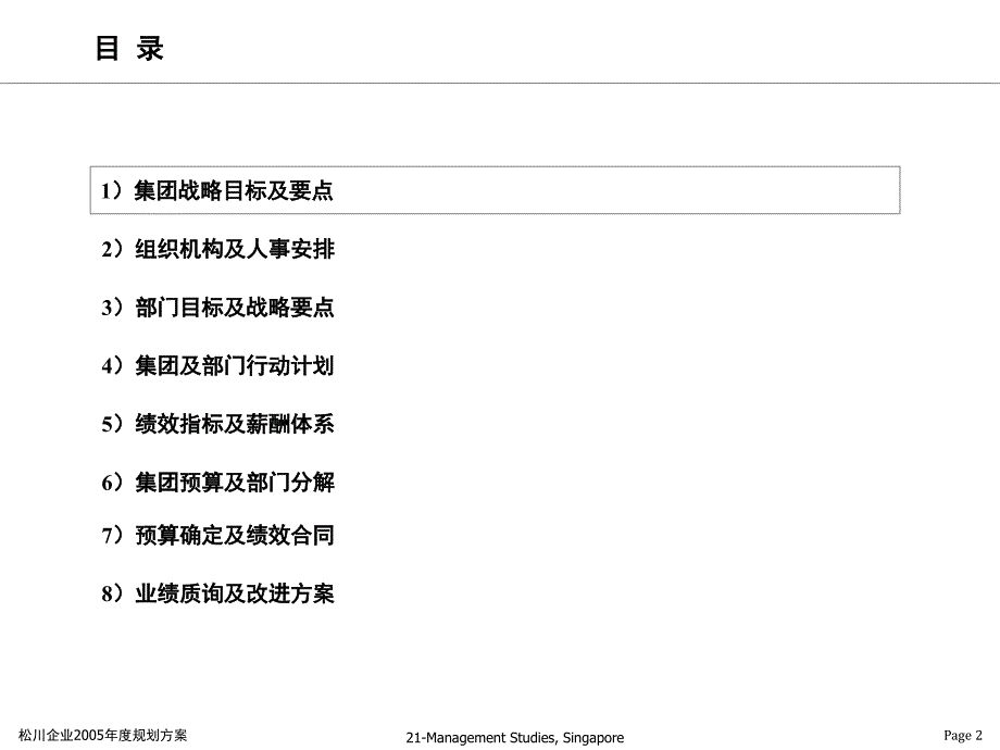 松川公司-规划报告_第2页