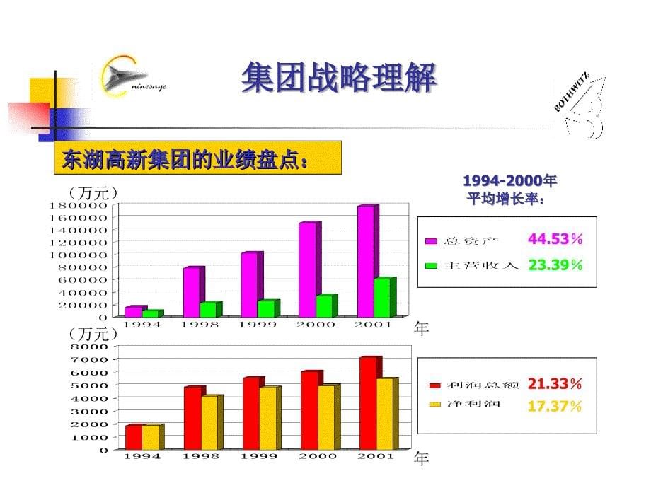 战略澄清报告—V_第5页