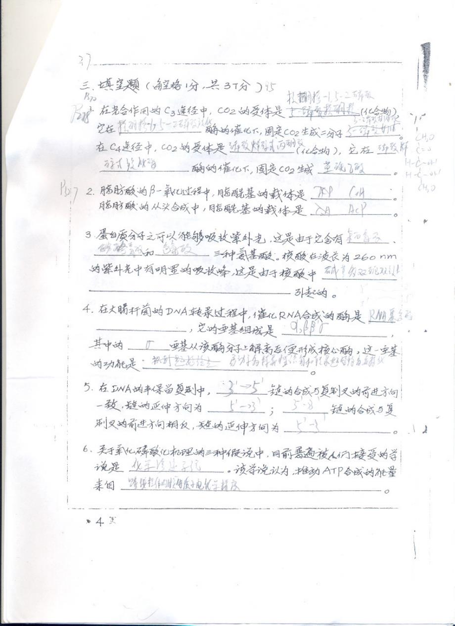 南京农业大学历年真题 生化95_第4页