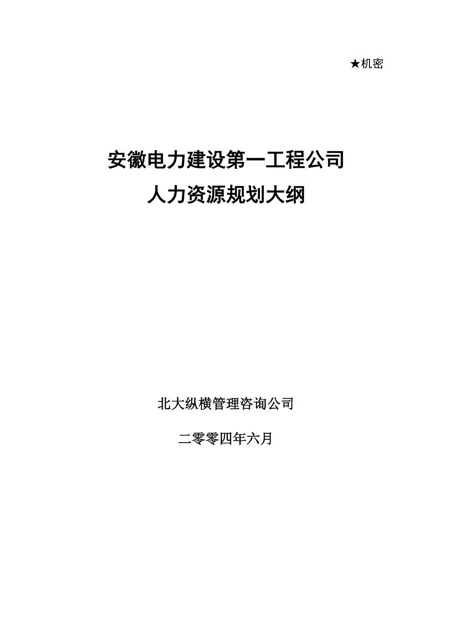 安徽电建一公司人力资源规划大_第1页