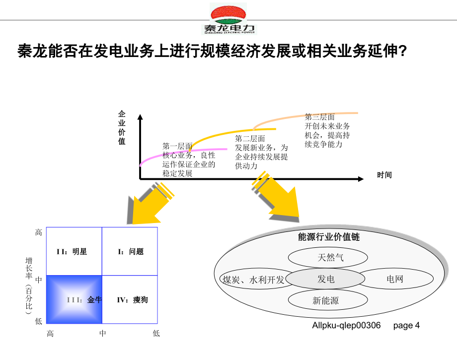 秦龙电力股份有限公司电力行业业务战略报告_第4页