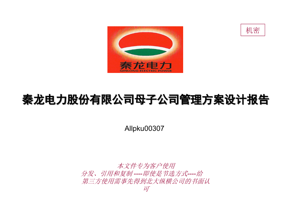 秦龙电力股份有限公司母子公司管理方案设计报告_第1页