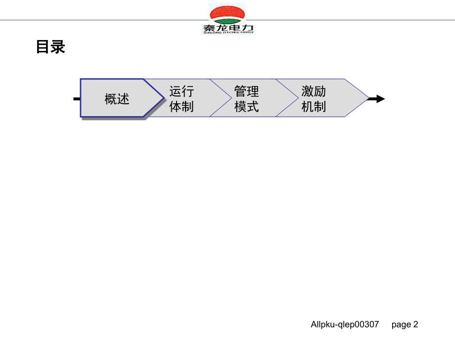 秦龙电力股份有限公司母子公司管理方案设计报告_第2页