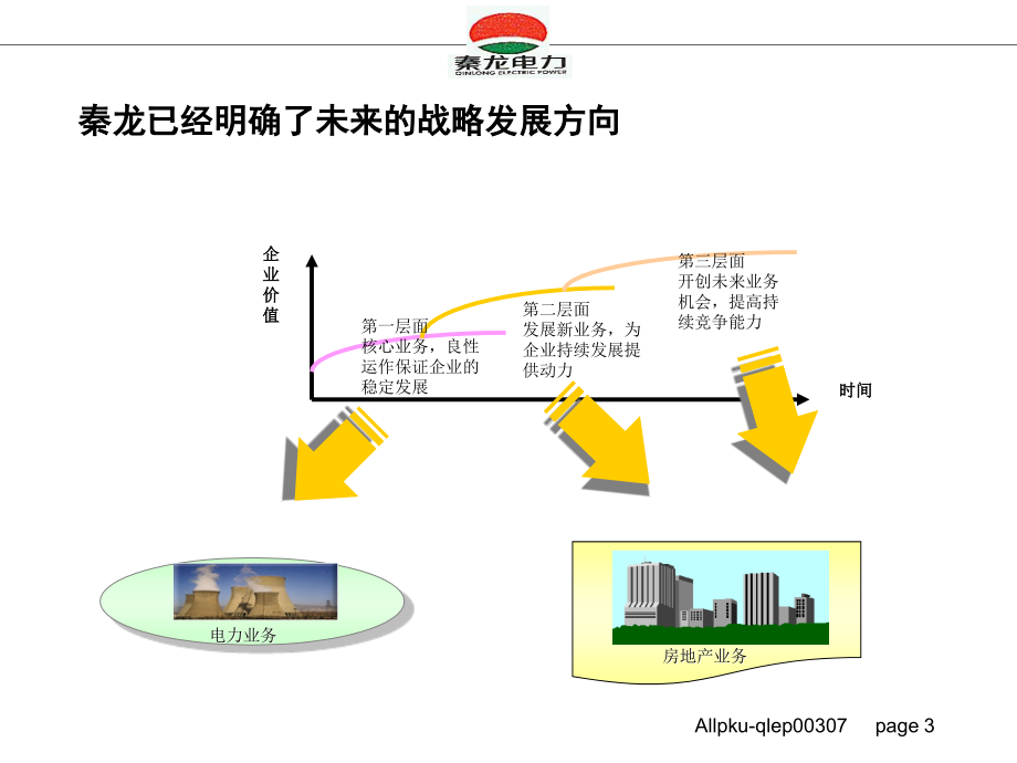 秦龙电力股份有限公司母子公司管理方案设计报告_第3页