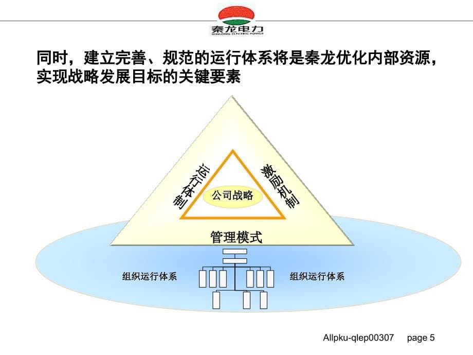 秦龙电力股份有限公司母子公司管理方案设计报告_第5页