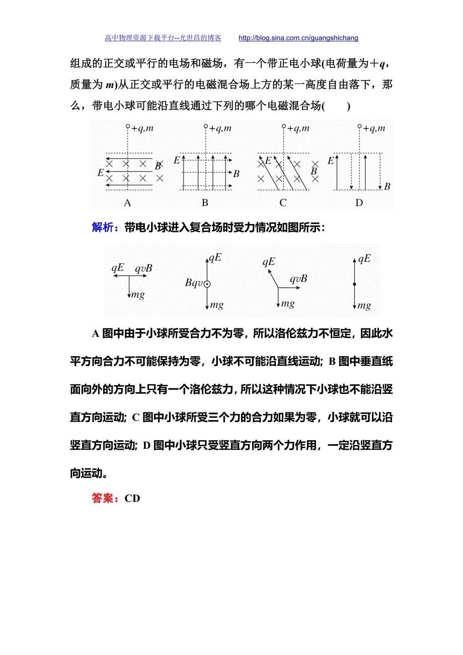 2016年高考金版教程第一轮总复习资料 金版教程第八章 磁场8-3b_第5页