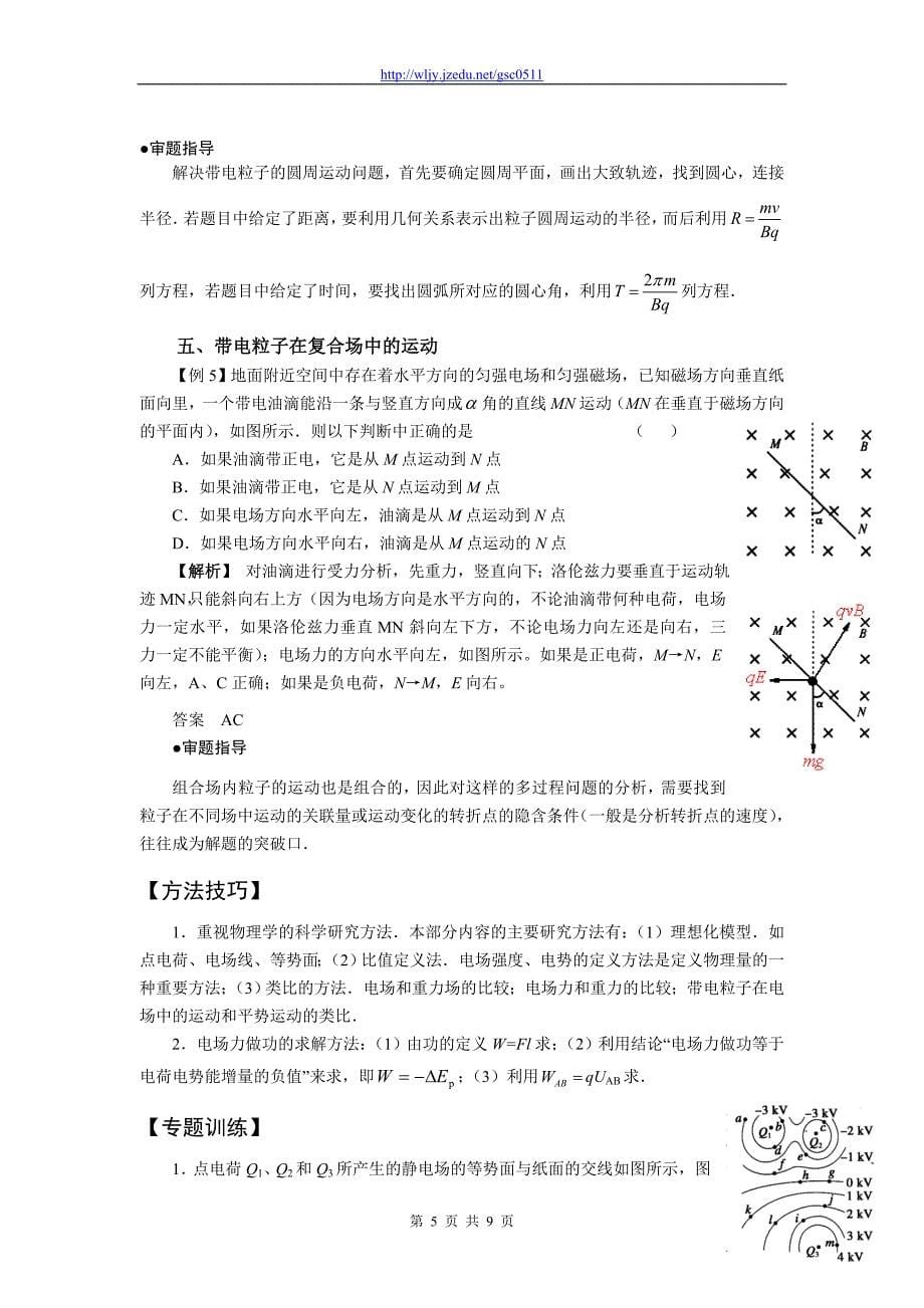 2013年高三物理二轮复习精品教学案 （专题六）电场和磁场  带电粒子的运动_第5页