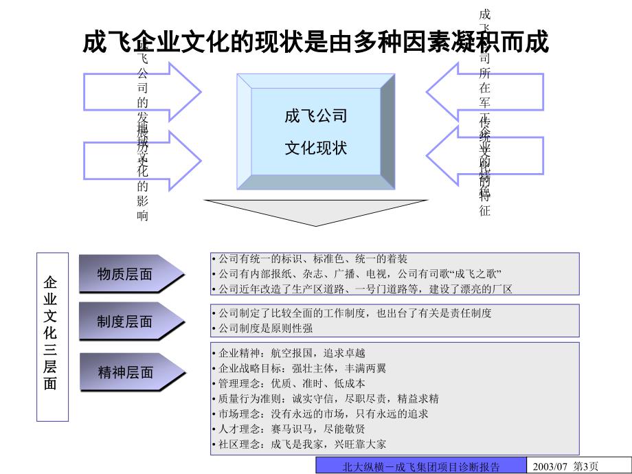 成飞总报告_第3页