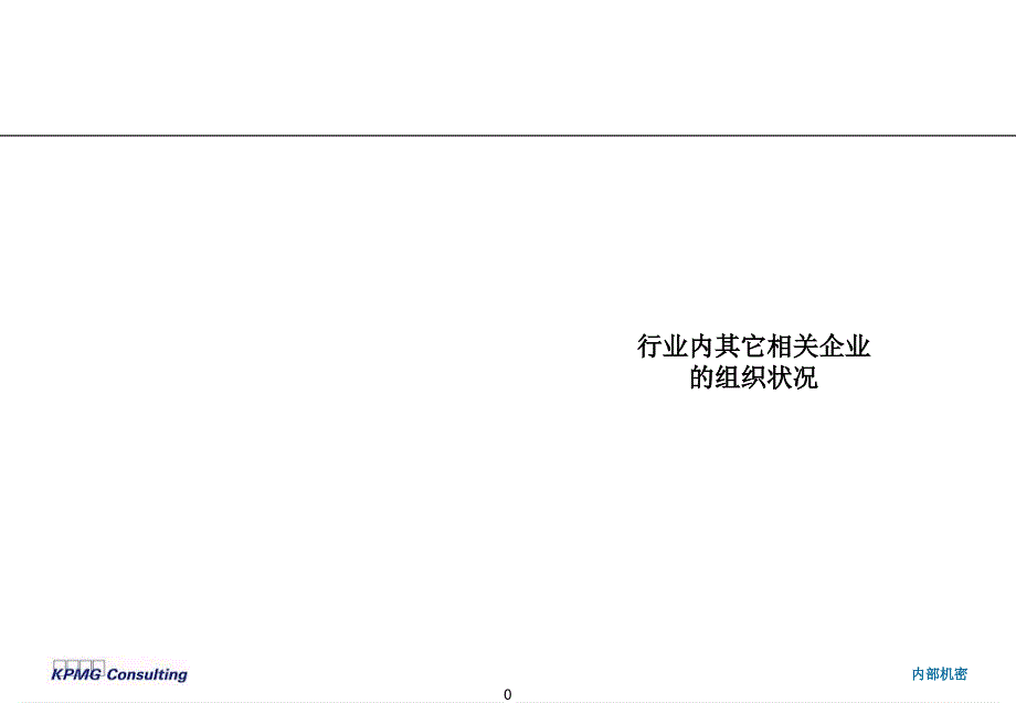 石家庄神威药业－国内外同行集团资本运营分析报告业营销组织结构讨论_第1页