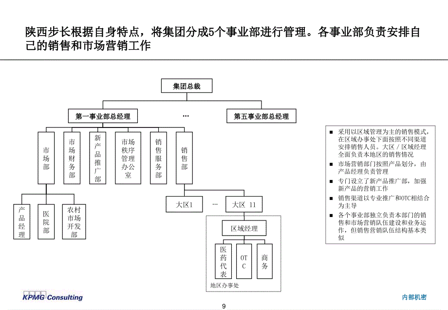 石家庄神威药业－国内外同行集团资本运营分析报告业营销组织结构讨论_第3页