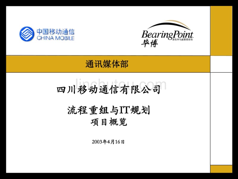 四川移动流程重组与IT规划－四川移动项集团资本运营分析报告目概览_公司管理层_第1页