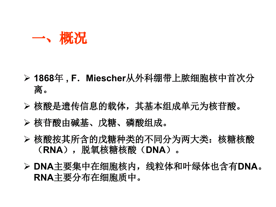 暨大生化课件 第三章 核酸_第2页