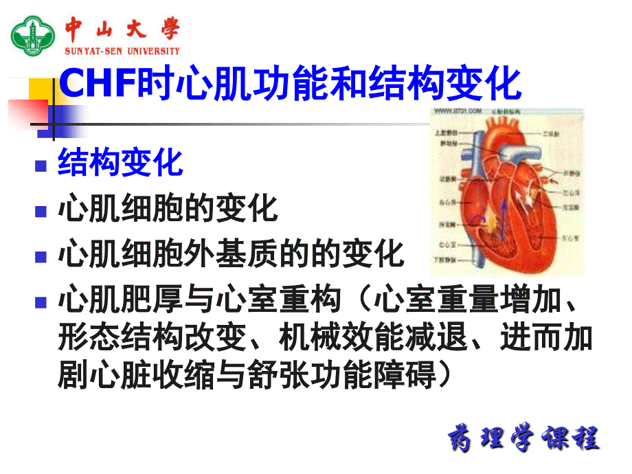 中山大学课件－药理学 抗慢性心功能不全药_第4页