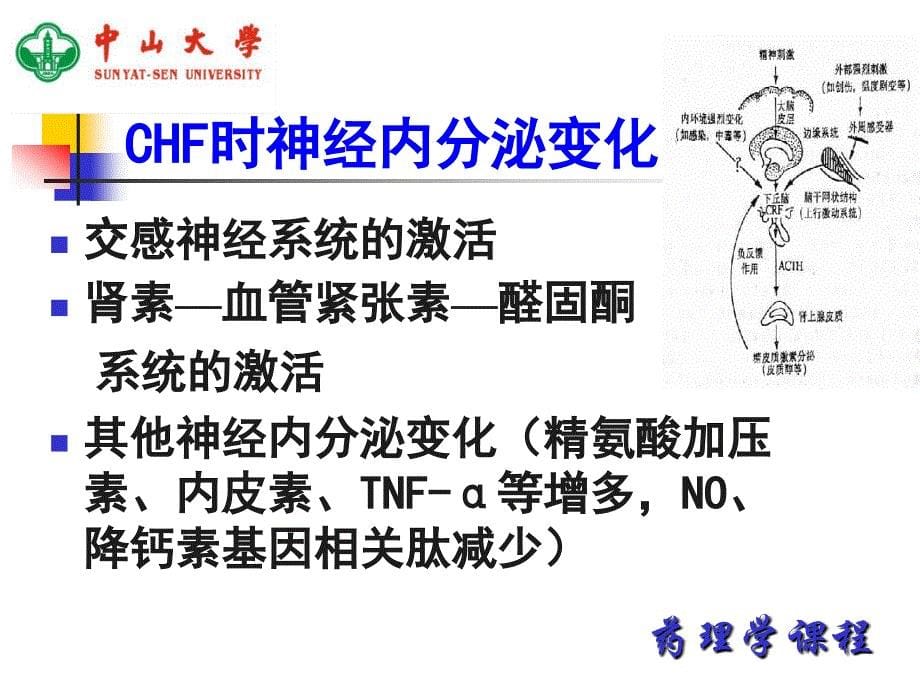 中山大学课件－药理学 抗慢性心功能不全药_第5页