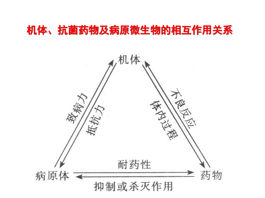 中山大学课件－药理学 第34章 抗菌药物概论_第4页