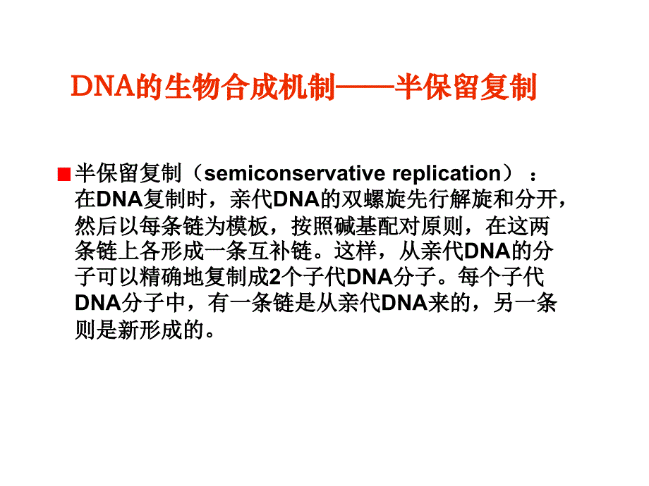 暨大生化课件 第十章 核酸的生物合成_第3页