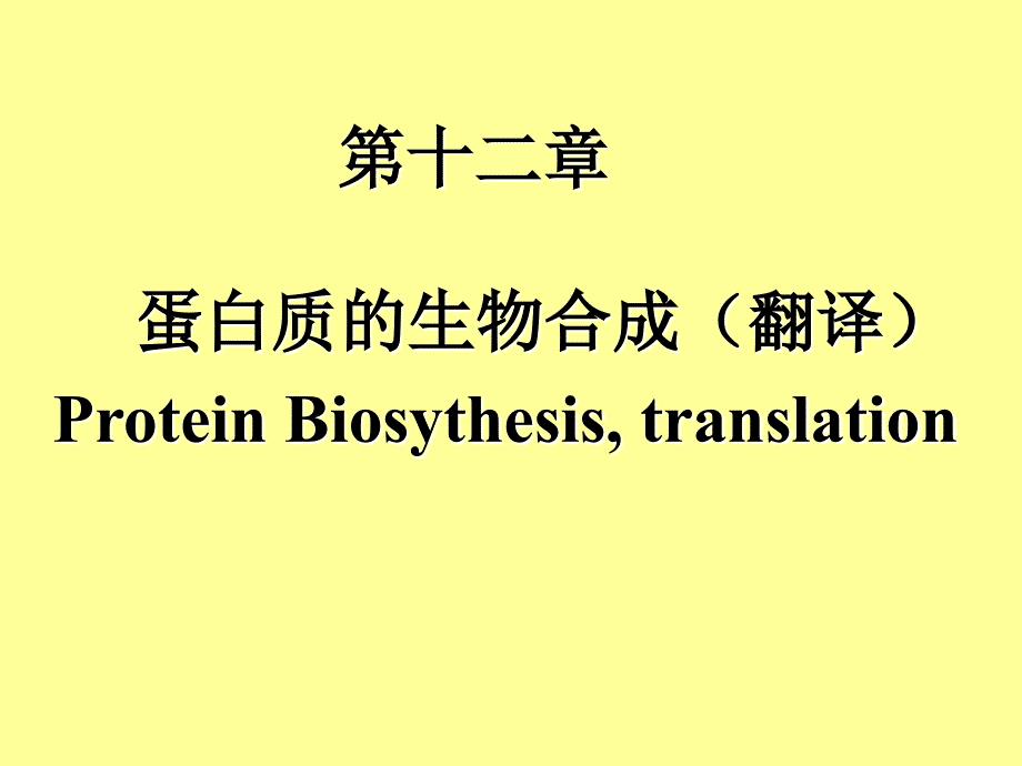 有机生化课件 蛋白质的生物合成