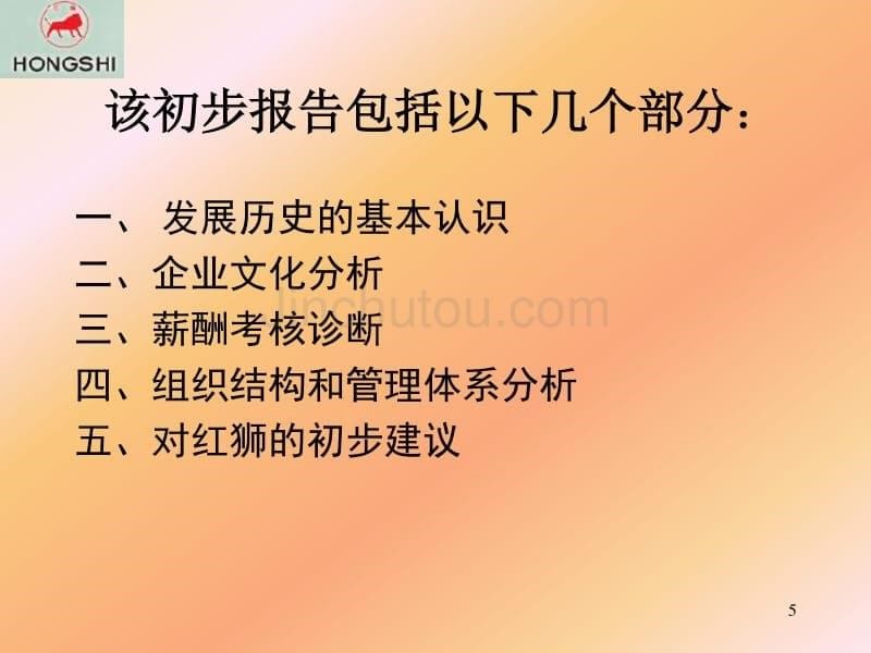 红狮咨询报告之一诊断报告_第5页