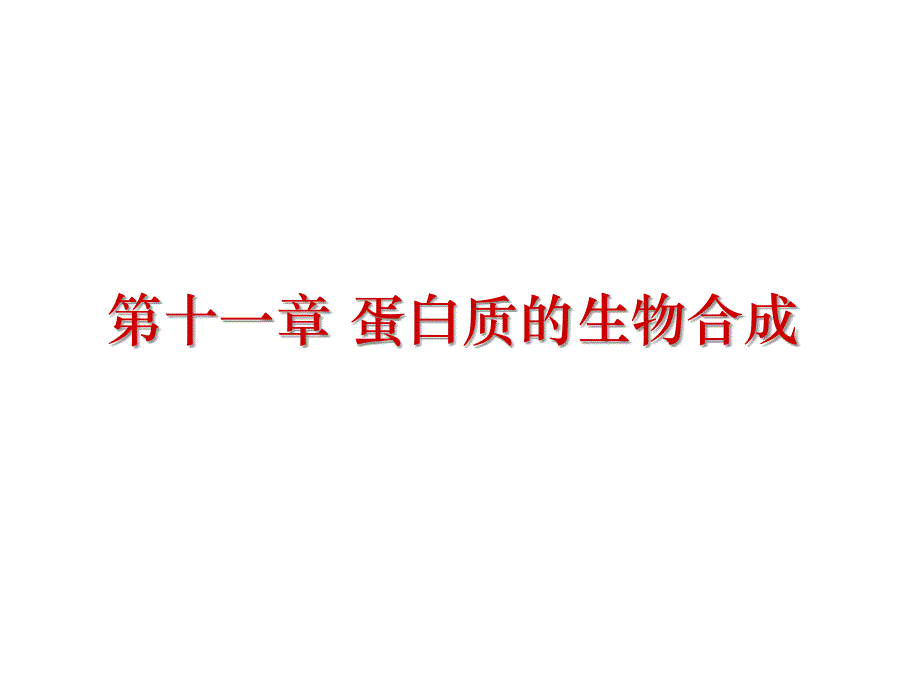 暨大生化课件 第十一章 蛋白质的生物合成_第1页