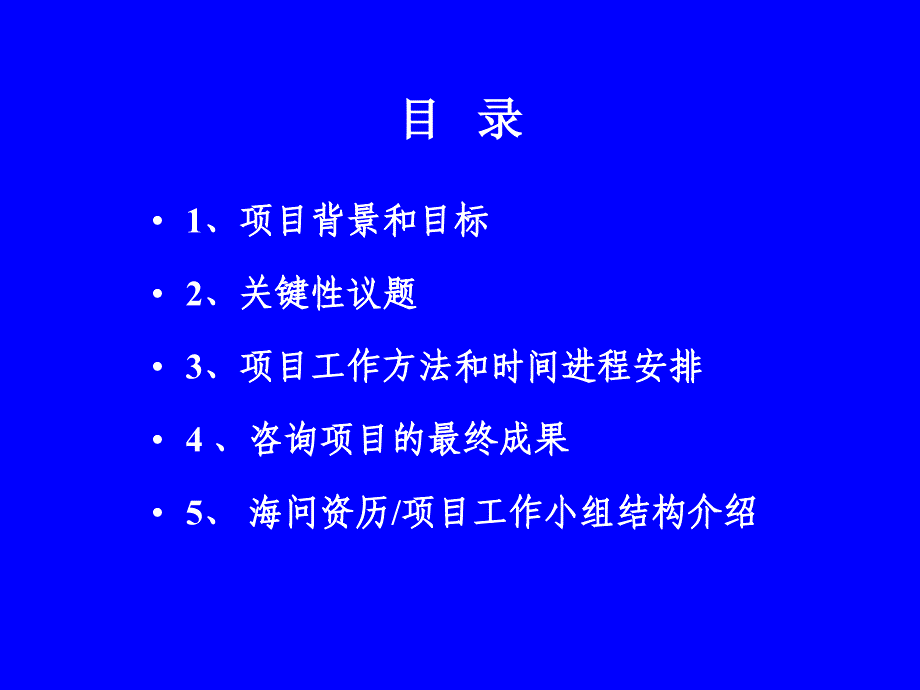 李宁集团－项目任务书_第2页