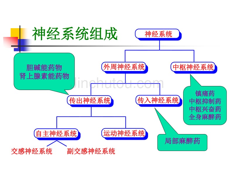 胆碱能药物 －药物化学课件_第1页