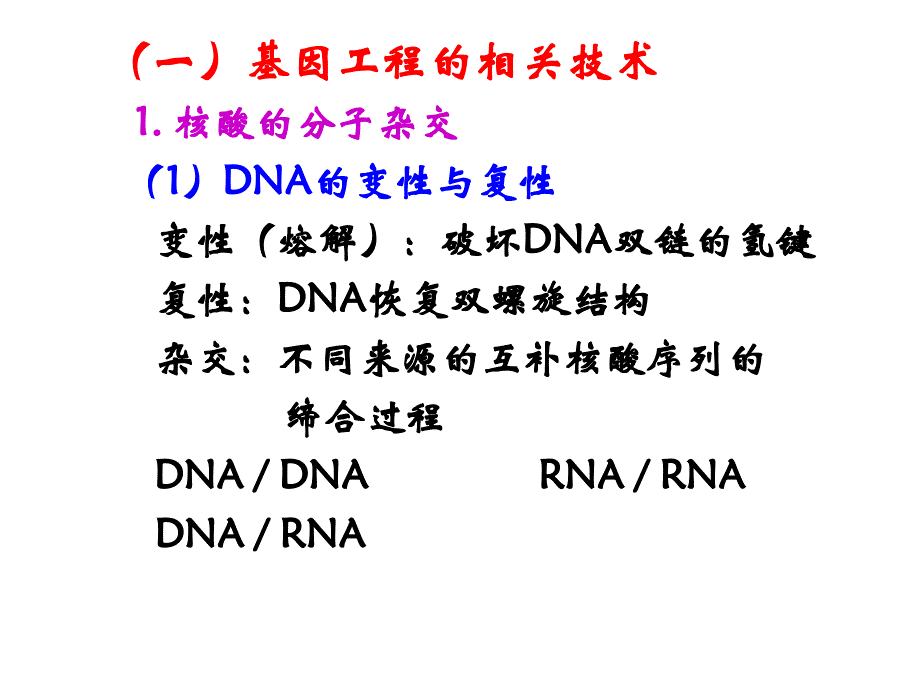 暨大普通生物学23 重组DNA技术 PPT课件_第2页