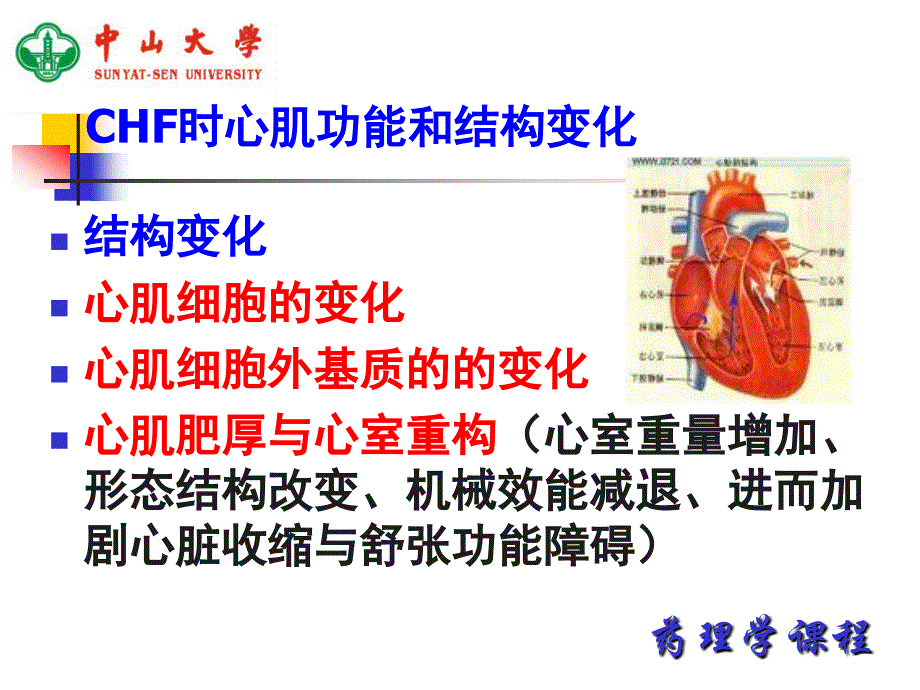 中山大学课件－药理学 第20章 抗慢性心功能不全药_第4页