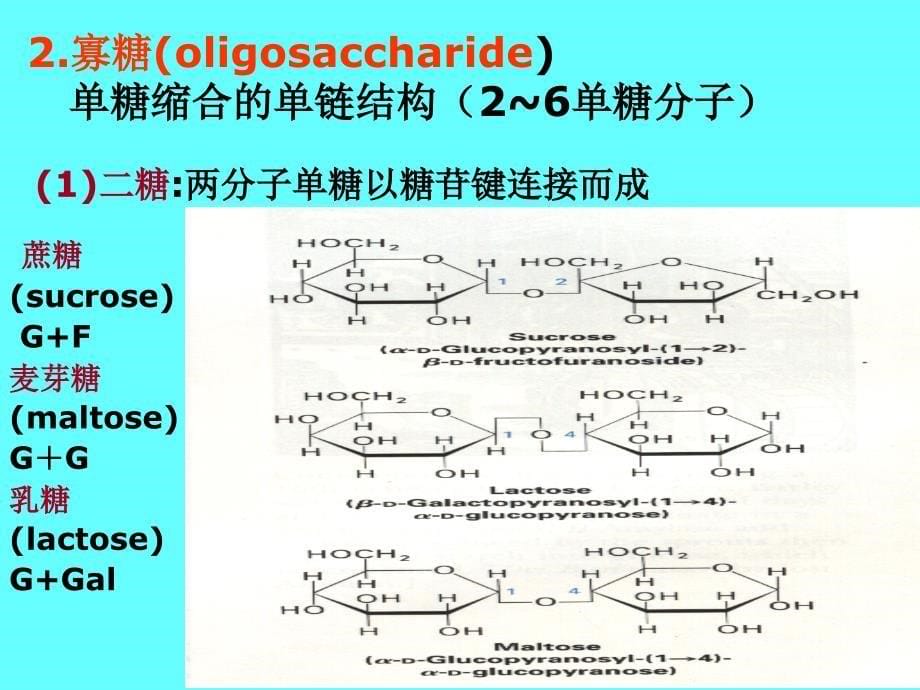 有机生化课件 生命的分子基础 糖的化学.jsp_第5页