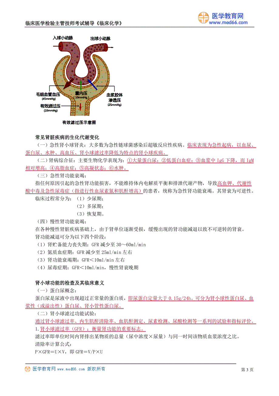 《临床化学》肾功能及早期肾损伤的检查（讲义）临床医学检验主管技师考试辅导_第3页