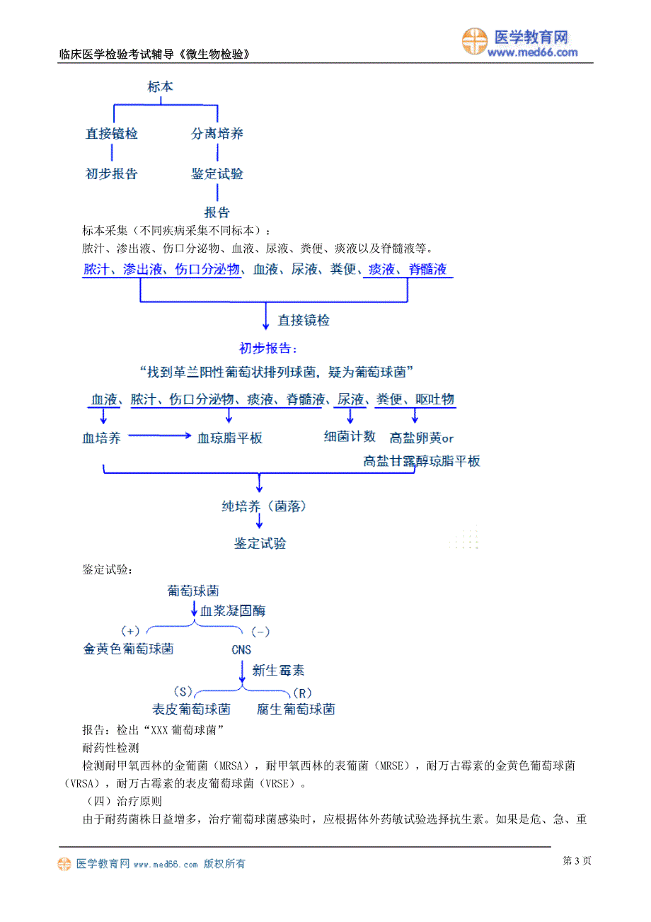 《微生物检验》病原性球菌及检验（讲义）临床医学检验考试辅导_第3页