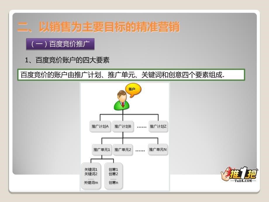 保健品的网络营销之道（新）_第5页