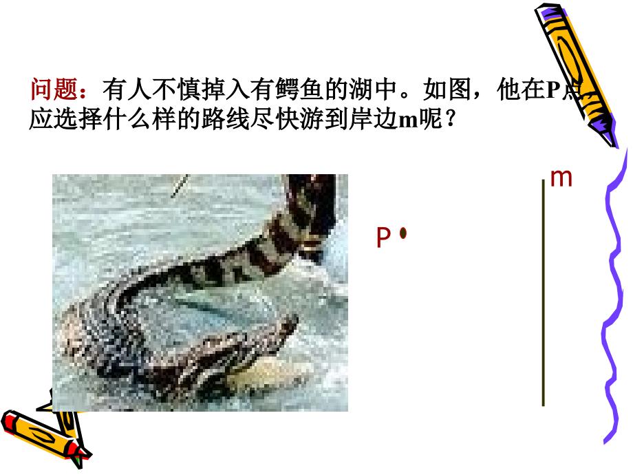 （上海科技版）七年级下《10.1.4垂线》ppt课件_第4页