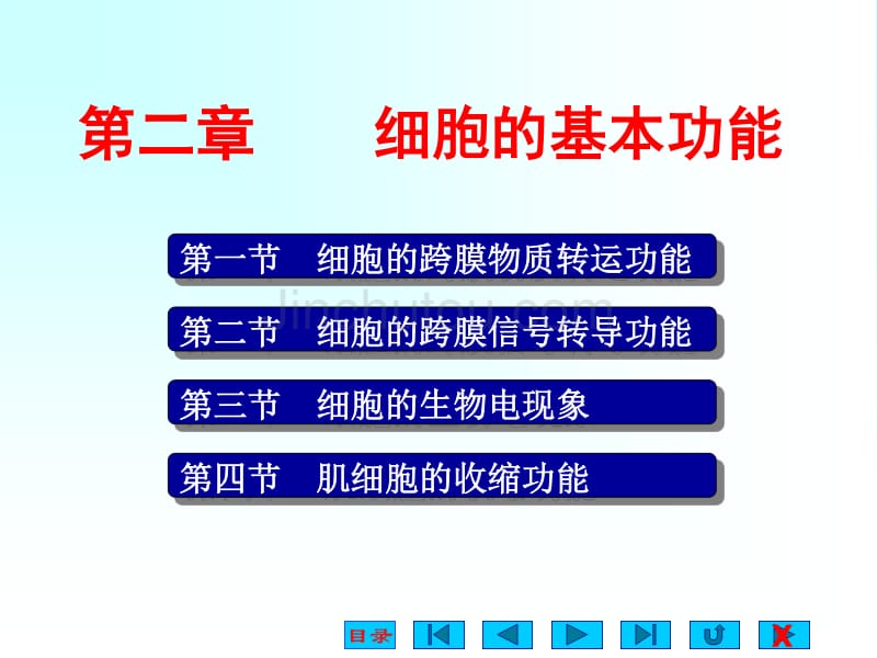 2细胞的基本功能_第1页