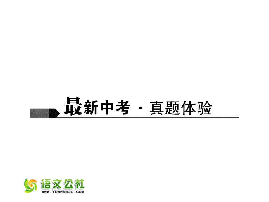 【人教版】聚焦中考语文习题ppt课件：第18讲-个性阅读_第2页