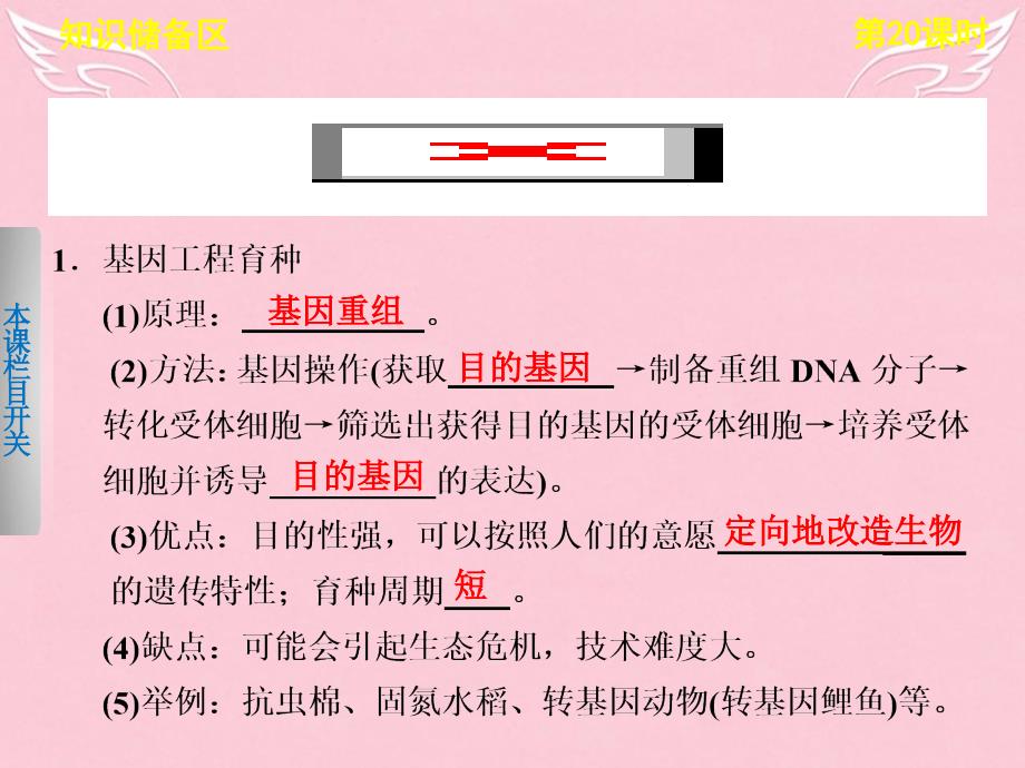 【北师大版】高中生物选修三：5.1《转基因生物的安全性问题》ppt课件_第3页