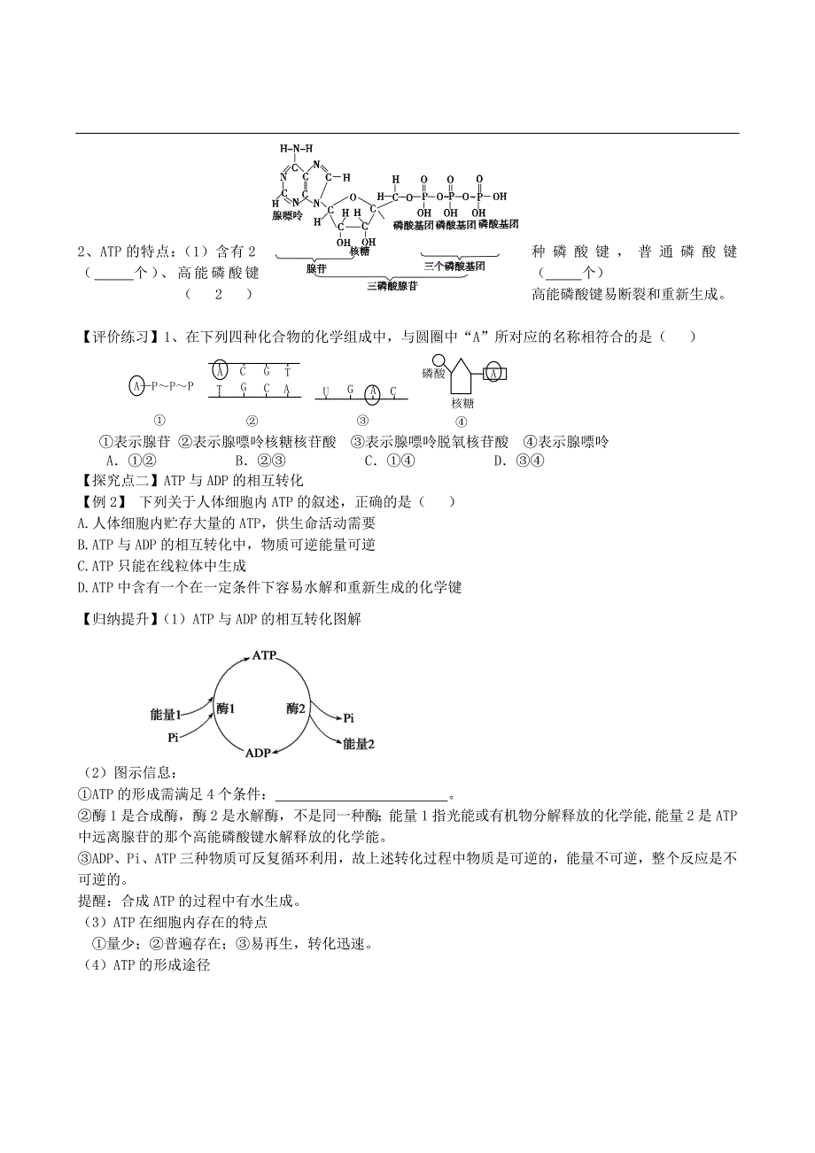 2016届高考生物一轮复习学案：细胞的能量通货—ATP_第3页