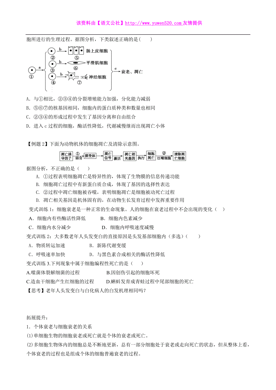 2016届高考生物一轮复习学案（13）细胞的衰老、凋亡和癌变_第3页